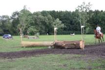 Vielseitigkeitstraining