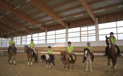 1000 Euro für das Ponyprojekt „Kinder mit Pferden stark machen!“