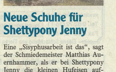 Jennys Schuhe