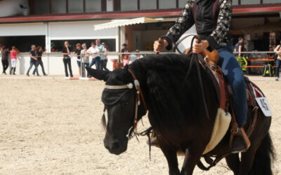 „Klein gegen Groß“ beim VWB-Westernturnier 2019