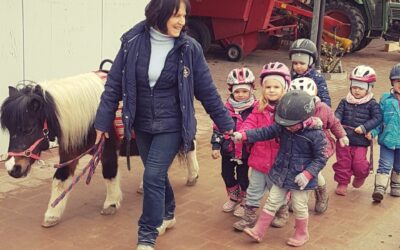 Soziales Ponyprojekt des RuFV Thierhaupten/Ötz e.V.