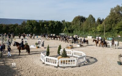 Deutsche Meisterschaften 2018 „Working Equitation“