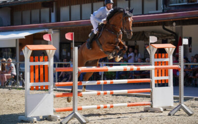 Springkurs Reitanlage Meir mit Werner Ehinger – Alle Levels – 24.-25. Februar 2024