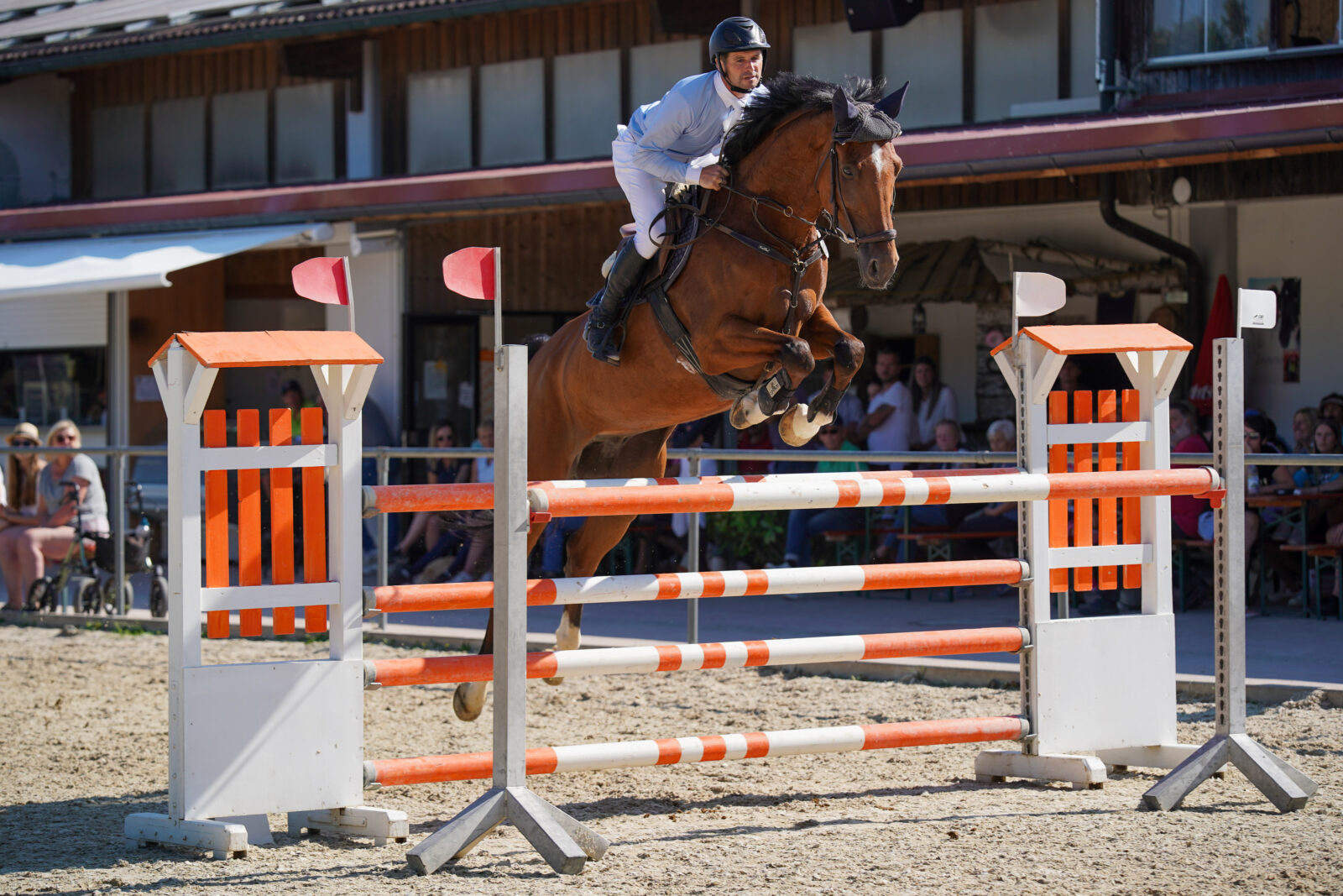 Springkurs Reitanlage Meir mit Werner Ehinger - Alle Levels - 24.-25 ...