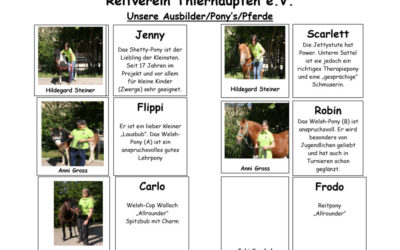 Reitschule Reitverein Thierhaupten  – Projektleiterin Hildegard Steiner