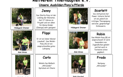 Reitschule Reitverein Thierhaupten  – Projektleiterin Hildegard Steiner