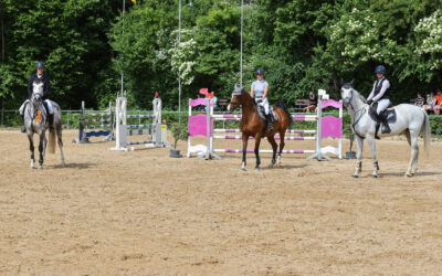 Dressur- und Springturnier 29.5.-1.6.2025